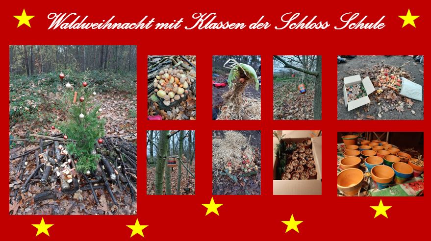 Waldweihnacht mit Klassen der Schloss Schule